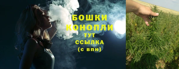 apvp Вязьма