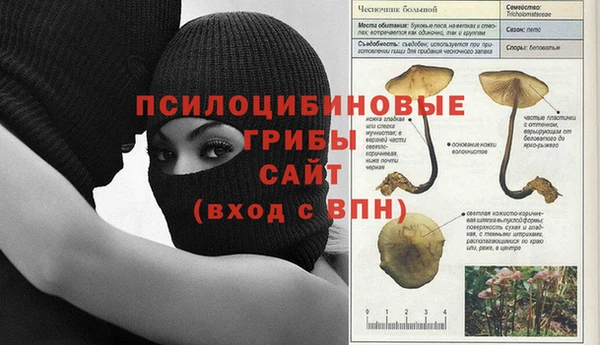 apvp Вязьма