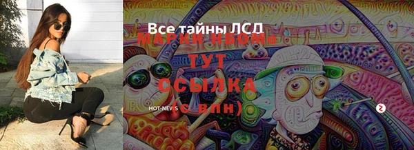 apvp Вязьма
