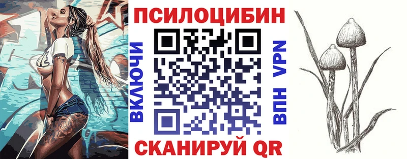 Галлюциногенные грибы Magic Shrooms где можно купить Муром